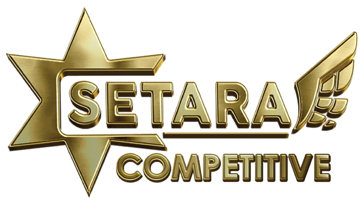 SETARA Competitive