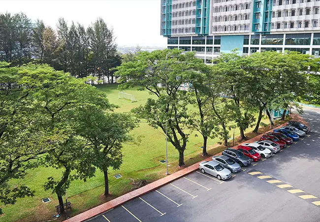 First City University College campus and student life